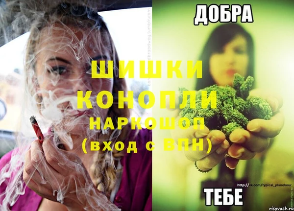 мдпв Магас
