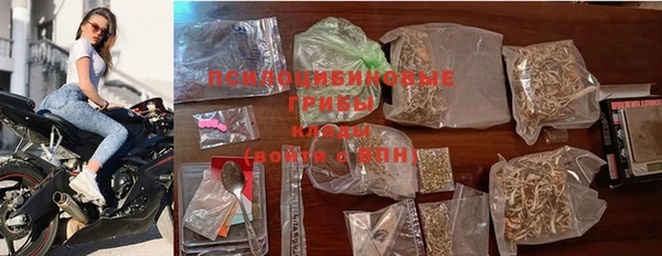 мдпв Магас