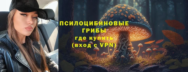 мдпв Магас